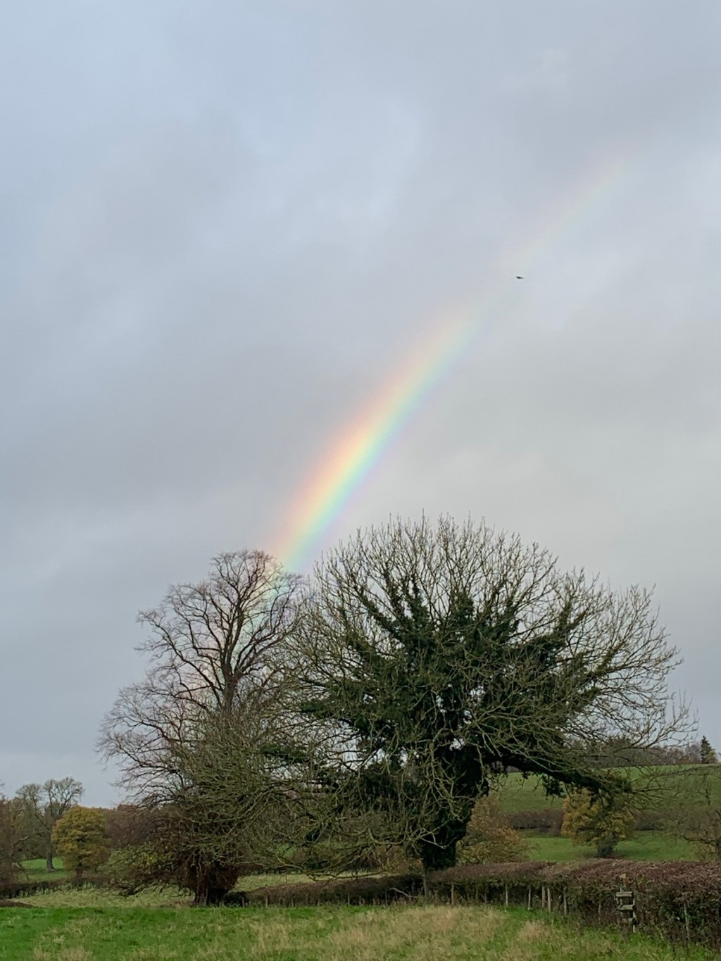 K is for&nbsp;Kelstedge