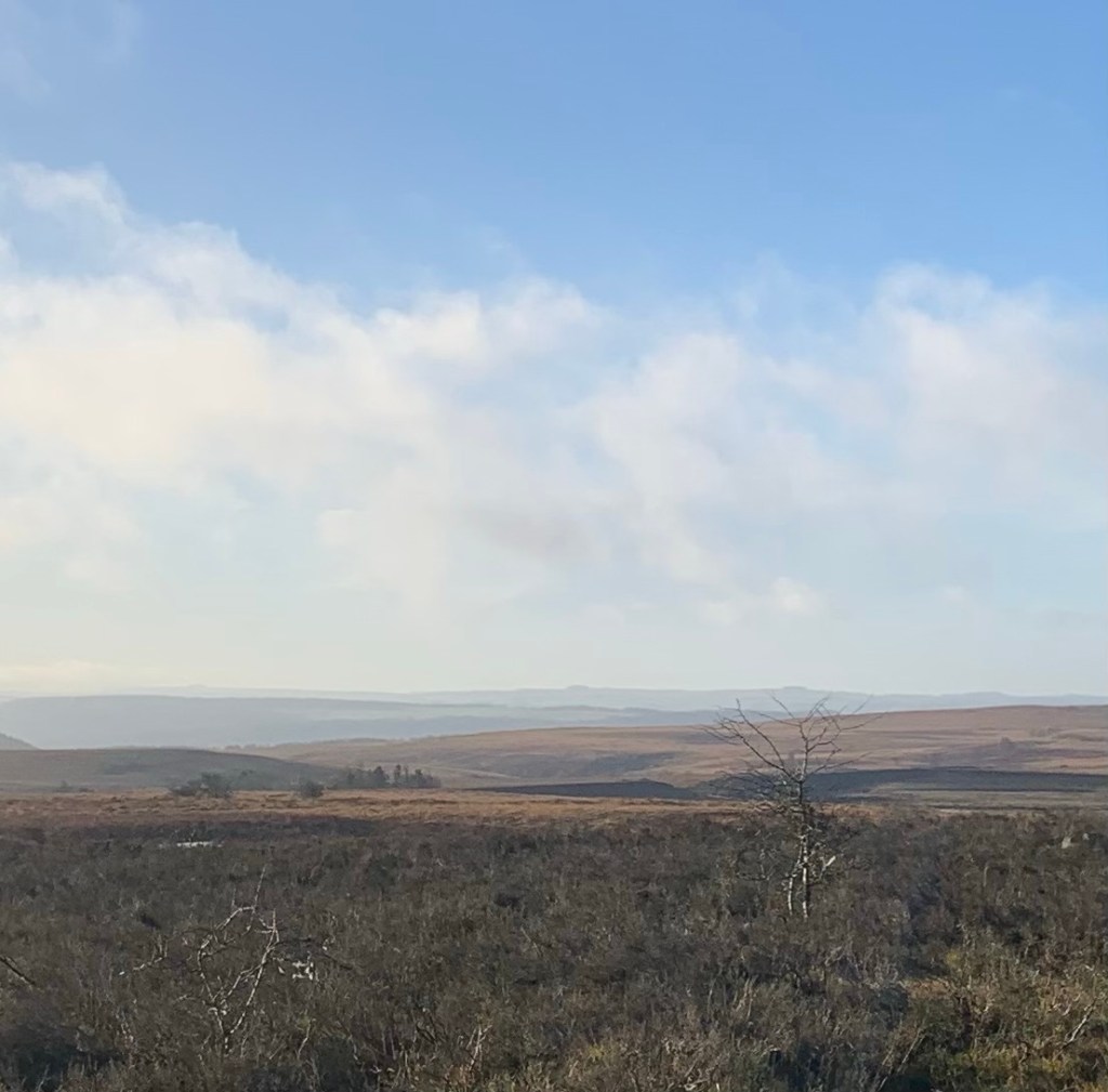 M is for&nbsp;Milthorpe