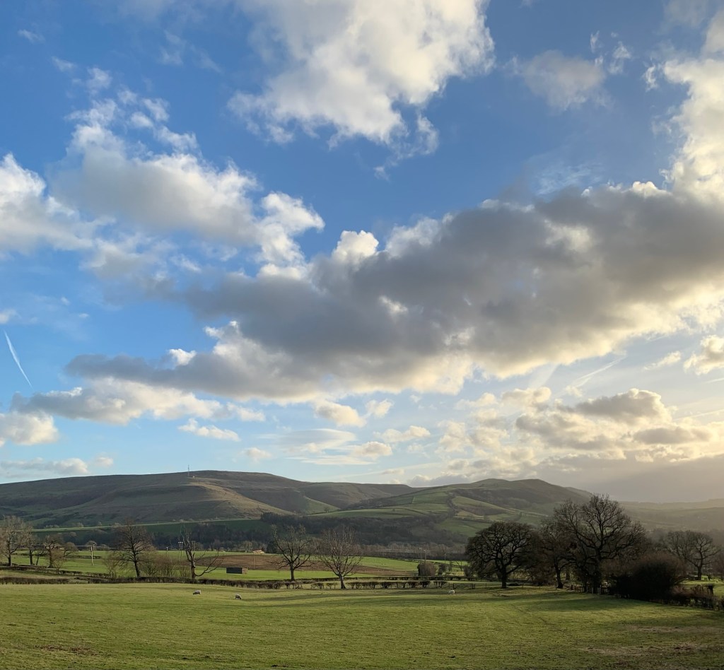 O is for Odin&nbsp;Sitch